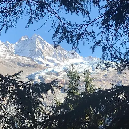 Cosy Proche Des Grands Montets Chamonix